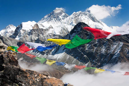 Nepal Earthquake